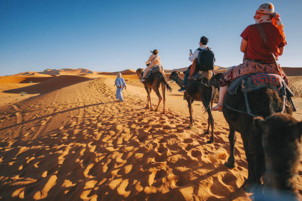 Excursão de 6 dias de Marrakech a Fez pelo deserto do Saara