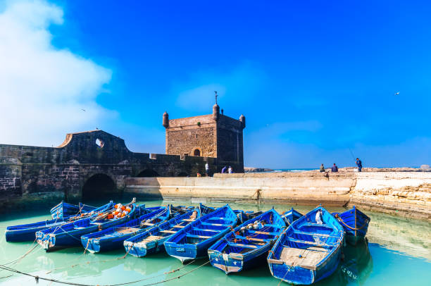 Excursão de um dia de Marrakech a Essaouira