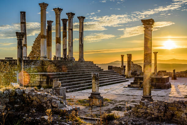 Viagem de um dia de Fez a Volubilis e Meknes